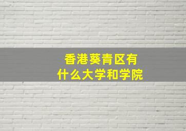 香港葵青区有什么大学和学院