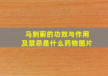 马刺蓟的功效与作用及禁忌是什么药物图片