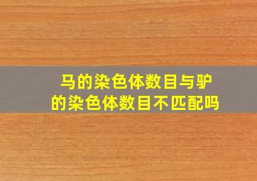 马的染色体数目与驴的染色体数目不匹配吗