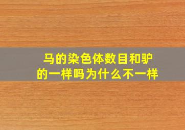 马的染色体数目和驴的一样吗为什么不一样