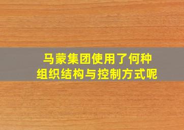 马蒙集团使用了何种组织结构与控制方式呢