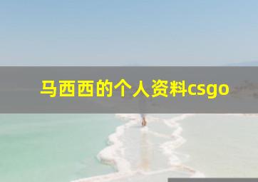 马西西的个人资料csgo