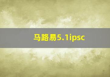 马路易5.1ipsc