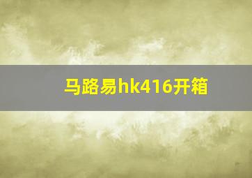 马路易hk416开箱