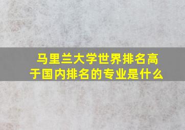 马里兰大学世界排名高于国内排名的专业是什么