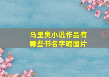 马里奥小说作品有哪些书名字呢图片