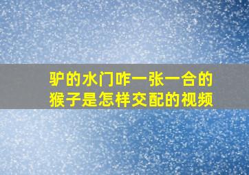 驴的水门咋一张一合的猴子是怎样交配的视频