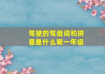 驾驶的驾组词和拼音是什么呢一年级