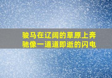 骏马在辽阔的草原上奔驰像一道道即逝的闪电