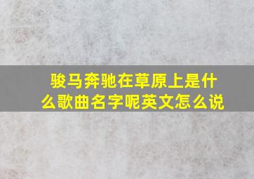 骏马奔驰在草原上是什么歌曲名字呢英文怎么说