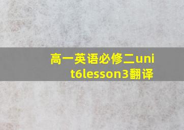 高一英语必修二unit6lesson3翻译