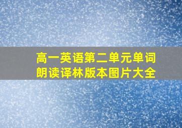 高一英语第二单元单词朗读译林版本图片大全