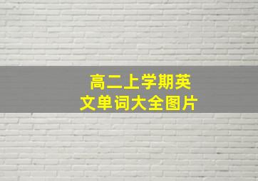 高二上学期英文单词大全图片