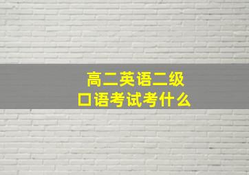 高二英语二级口语考试考什么