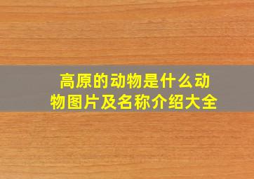 高原的动物是什么动物图片及名称介绍大全