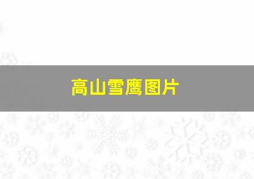 高山雪鹰图片