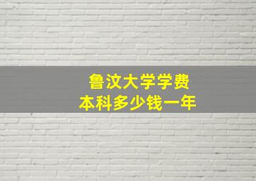 鲁汶大学学费本科多少钱一年