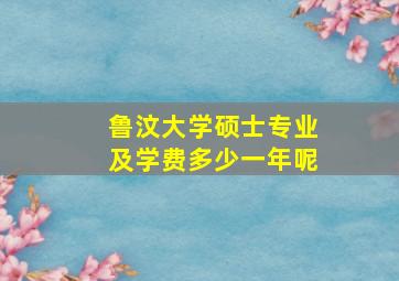 鲁汶大学硕士专业及学费多少一年呢