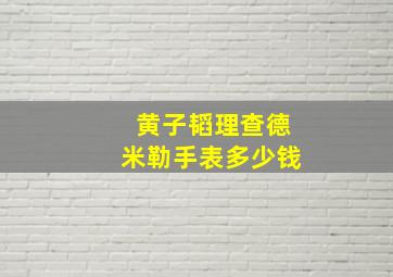 黄子韬理查德米勒手表多少钱