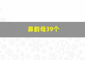 鼻韵母39个