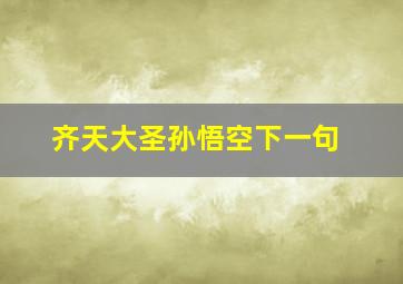 齐天大圣孙悟空下一句