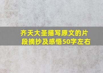 齐天大圣描写原文的片段摘抄及感悟50字左右