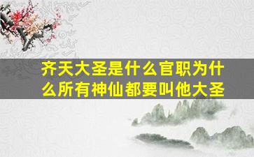 齐天大圣是什么官职为什么所有神仙都要叫他大圣