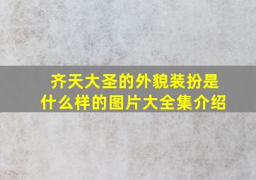 齐天大圣的外貌装扮是什么样的图片大全集介绍