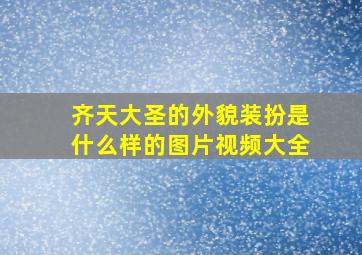 齐天大圣的外貌装扮是什么样的图片视频大全